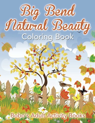 Big Bend Natural Beauty Coloring Book