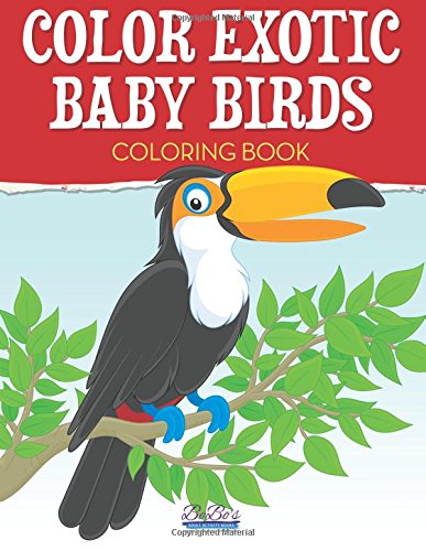 Color Exotic Baby Birds Coloring Book