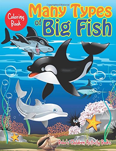 Many Types of Big Fish Coloring Book