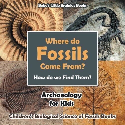 Where Do Fossils Come from? How Do We Find Them? Archaeology for Kids – Children’s Biological Science of Fossils Books